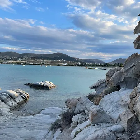 Playera F Sea View *