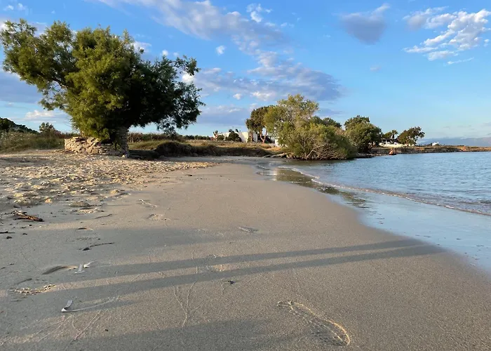 דירה Playera F Sea View *